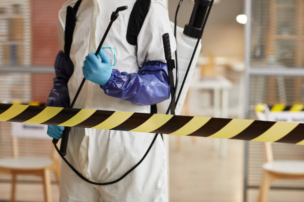 Professional Hoarding Cleanup technician working in Lakewood, WI